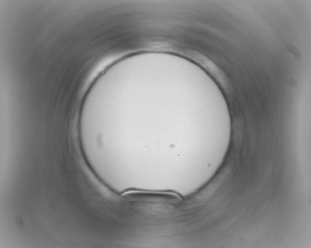 X0000115421432200911241339