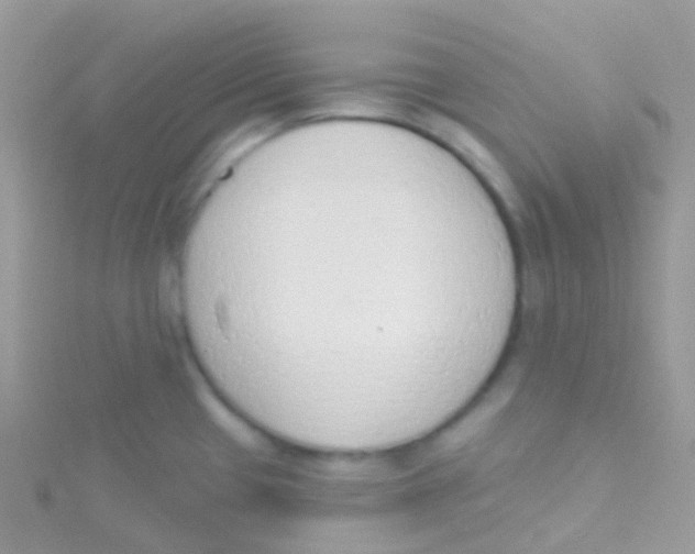 X0000115421433200911241339