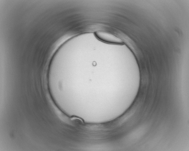 X0000115421434200911241339