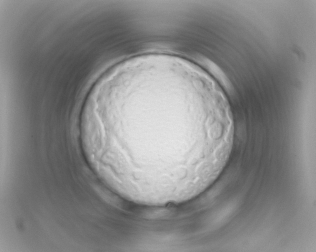 X0000115421435200911241339