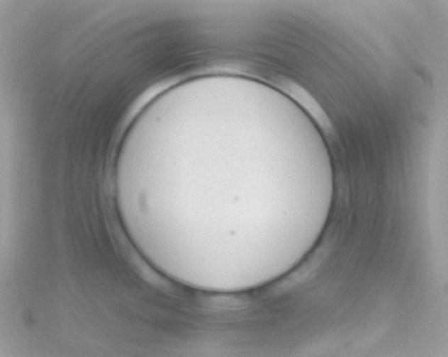 X0000115421436200911241339