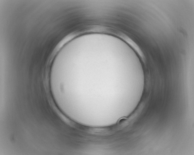 X0000115421437200911241339