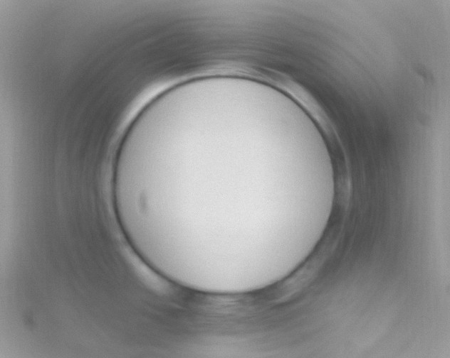 X0000115421438200911241339