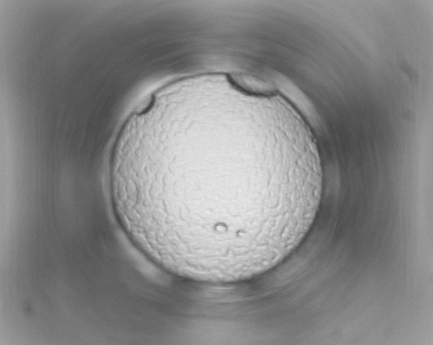 X0000115421439200911241339