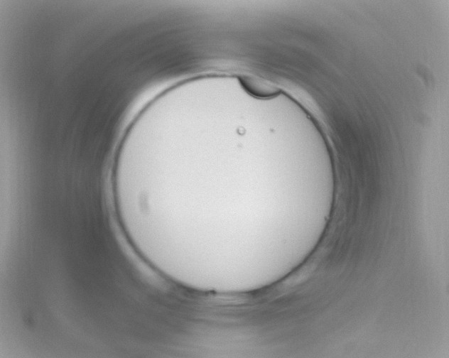 X0000115421440200911241339