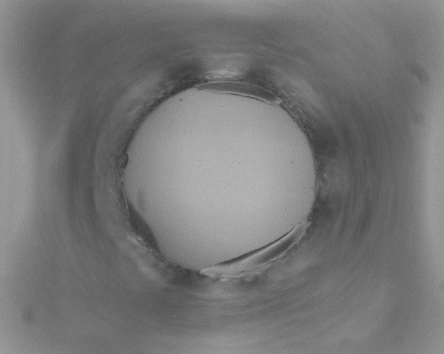 X0000115421441200911241338