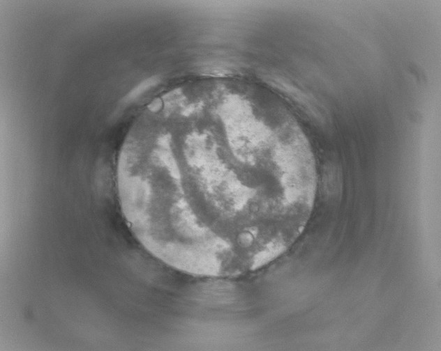 X0000115421446200911241338