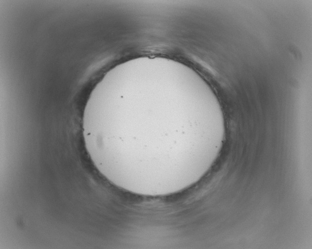 X0000115421447200911241338