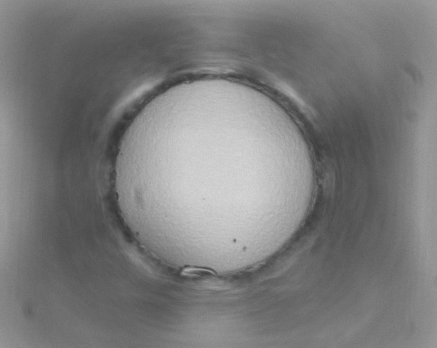 X0000115421448200911241338