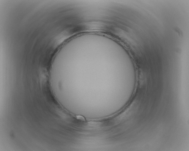 X0000115421449200911241338