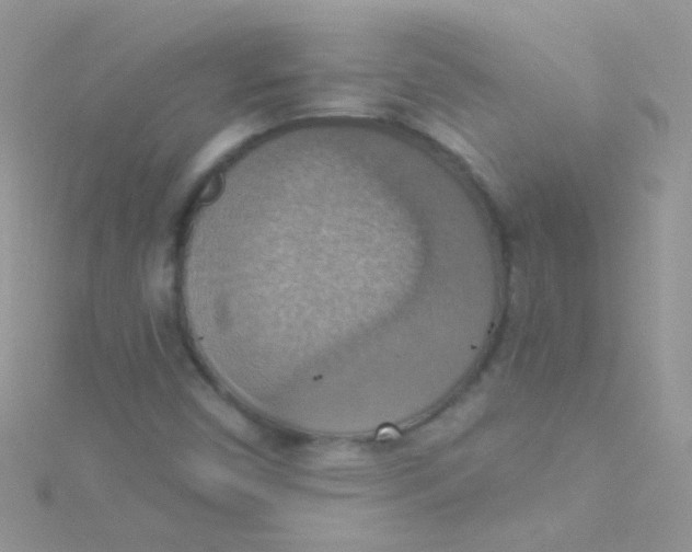 X0000115421450200911241338