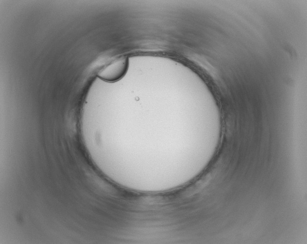 X0000115421451200911241338