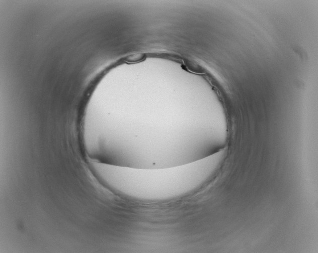 X0000115421452200911241338