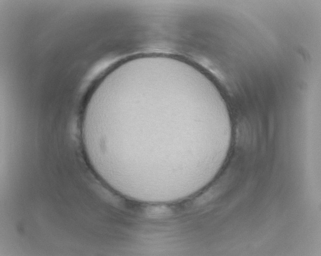 X0000115421454200911241338