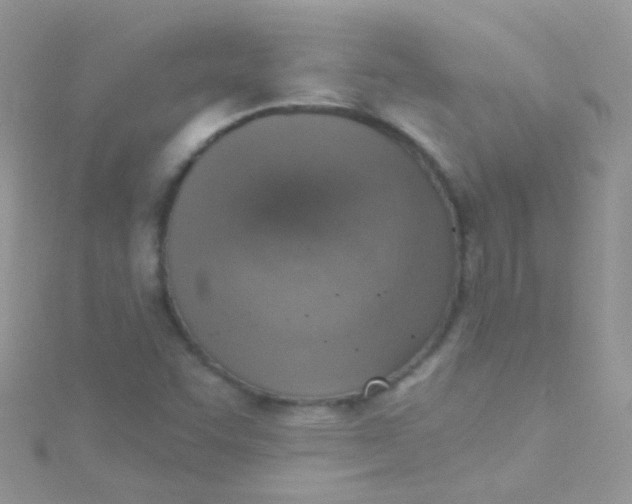 X0000115421455200911241338