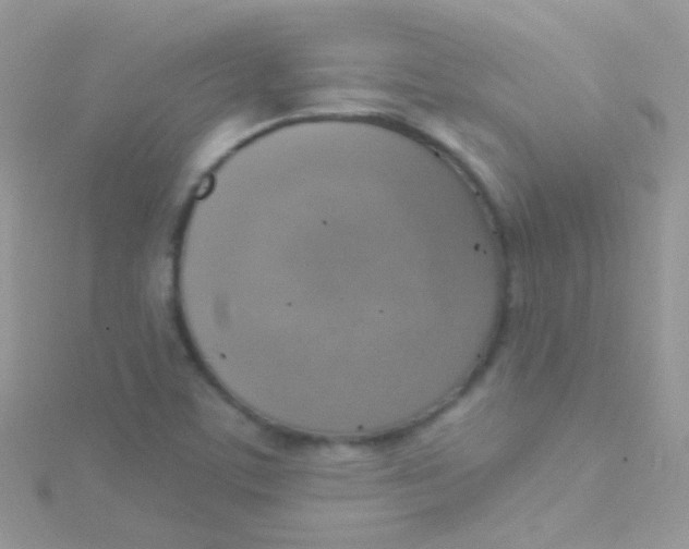 X0000115421459200911241338