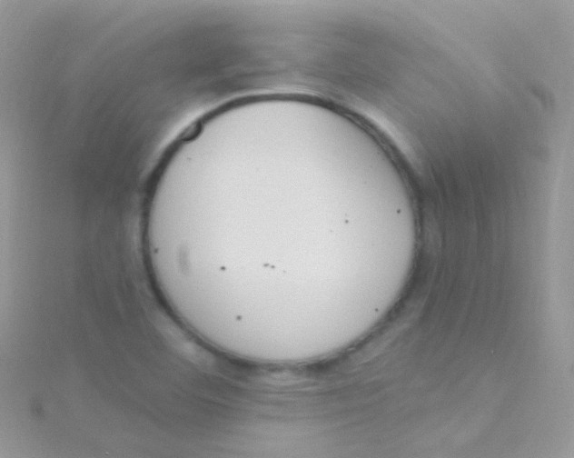 X0000115421460200911241338