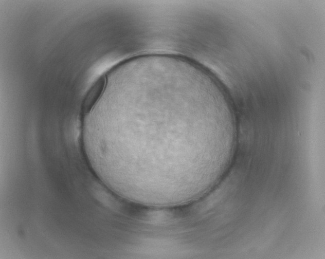 X0000115421461200911241338