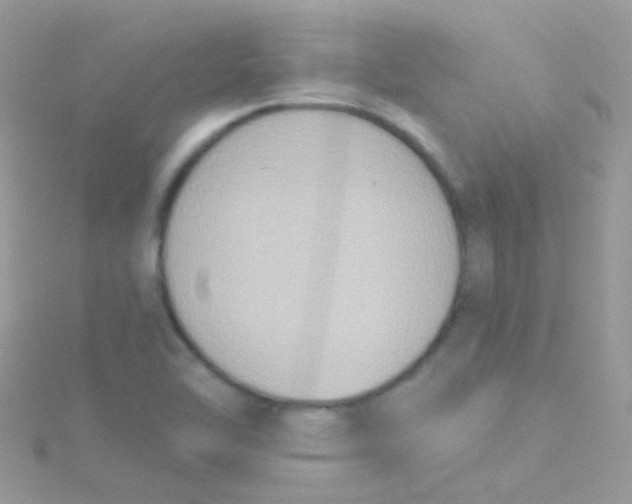 X0000115421462200911241338