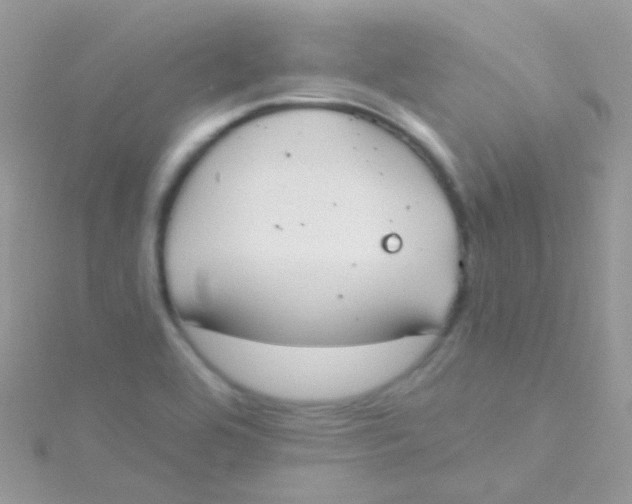 X0000115421464200911241338