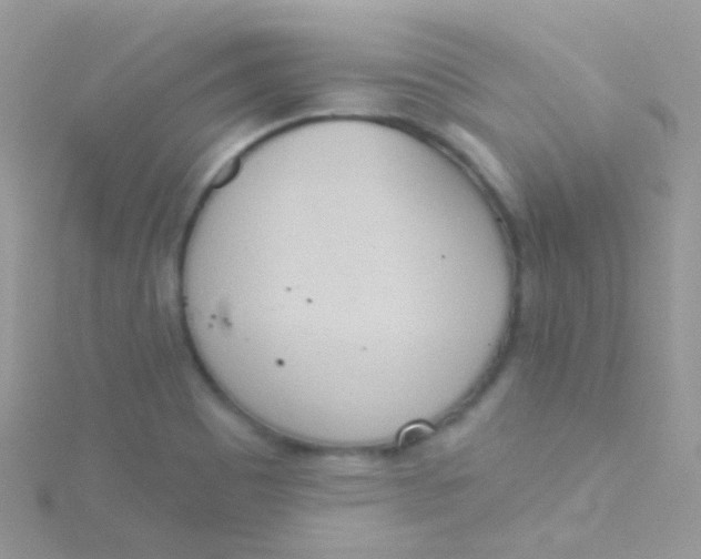 X0000115421465200911241338