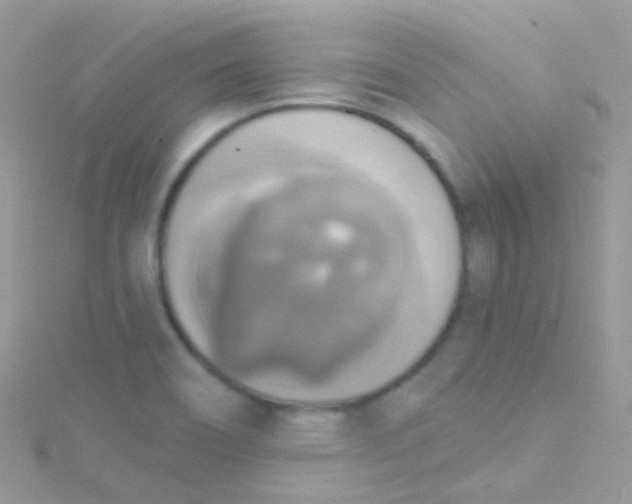 X0000115421466200911241338