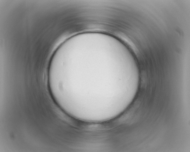 X0000115421467200911241338