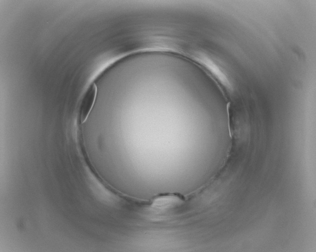 X0000115421468200911241338