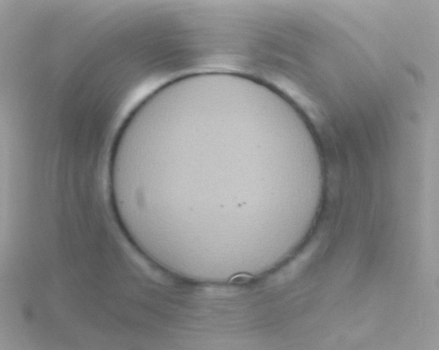 X0000115421469200911241338