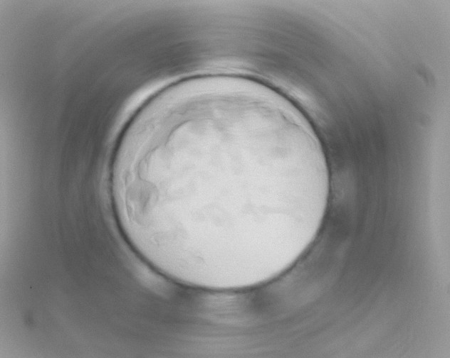 X0000115421470200911241338