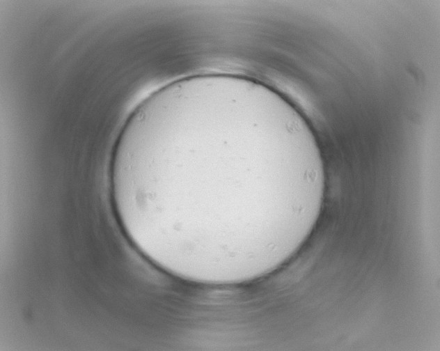 X0000115421471200911241338