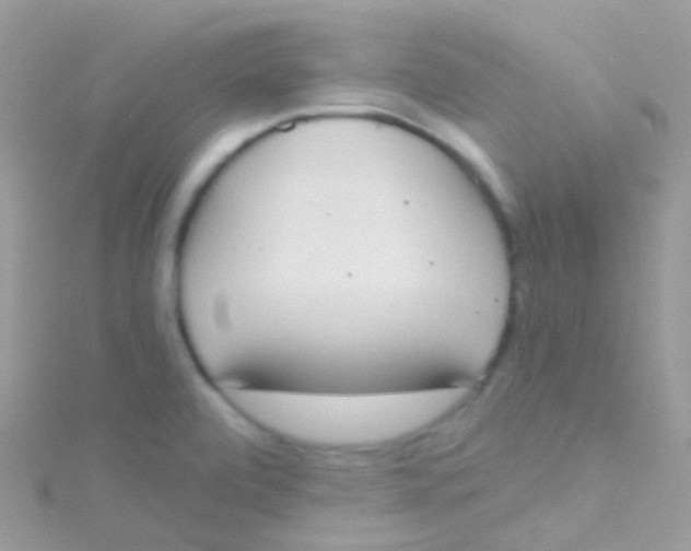 X0000115421472200911241338