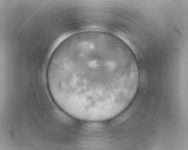 X0000115421474200911241338