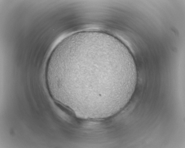 X0000115421475200911241338