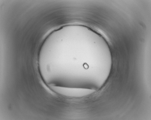 X0000115421476200911241338