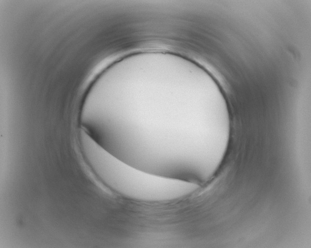 X0000115421477200911241338