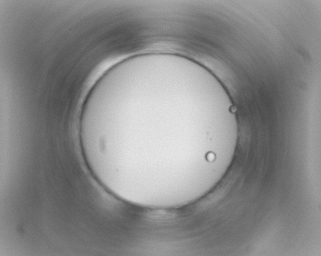 X0000115421478200911241338