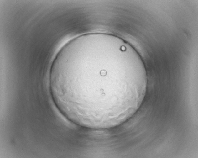 X0000115421479200911241338