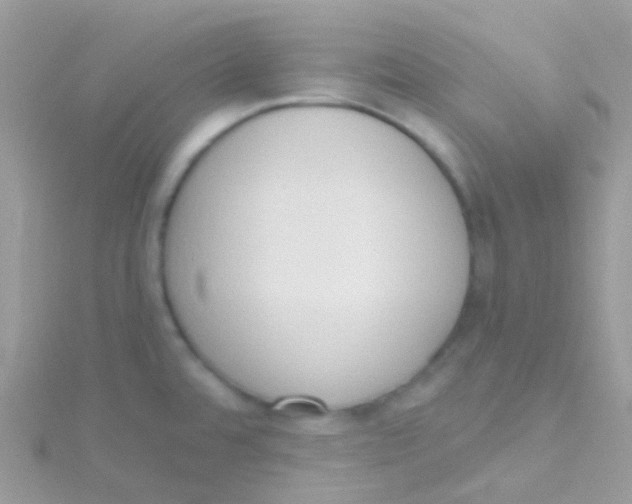 X0000115421480200911241338