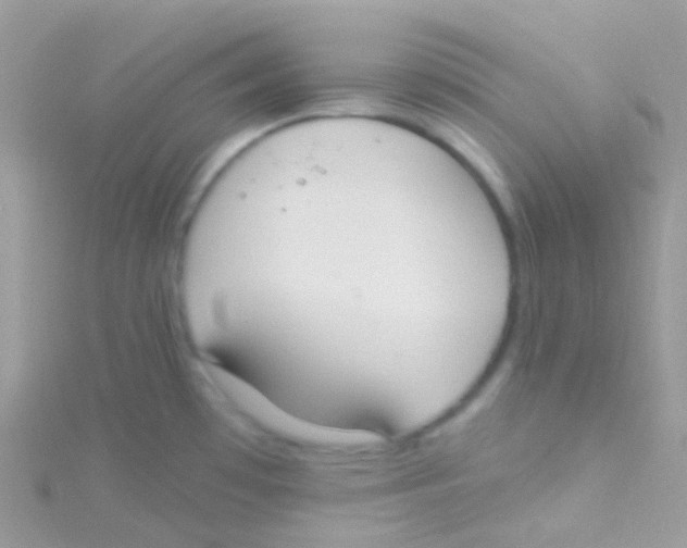 X0000115421481200911241338