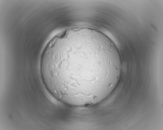 X0000115421482200911241338