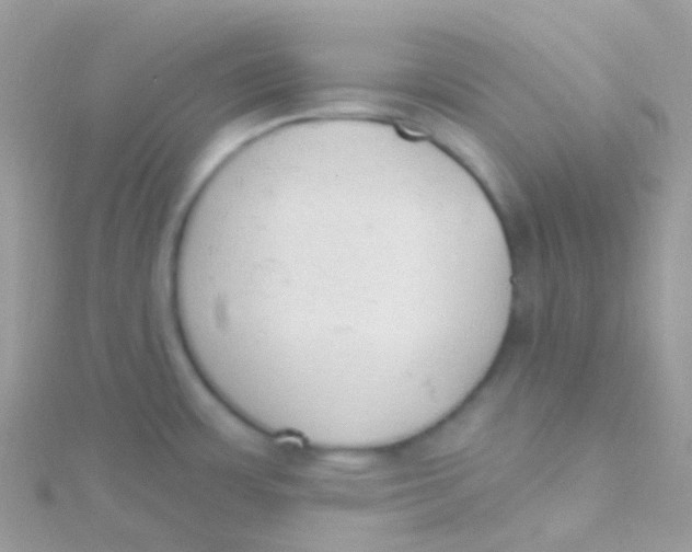 X0000115421483200911241338