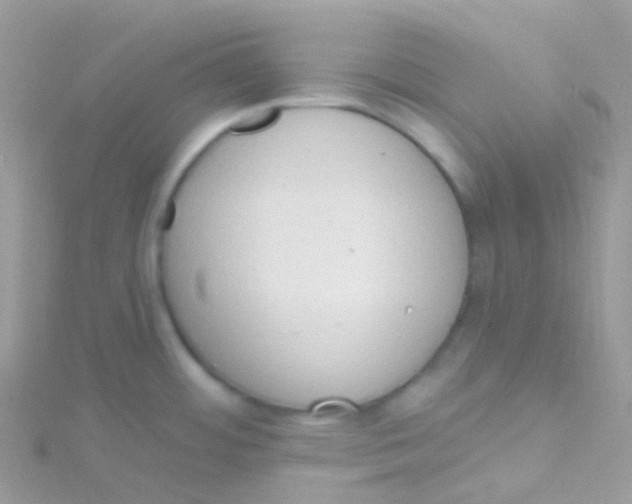 X0000115421484200911241338