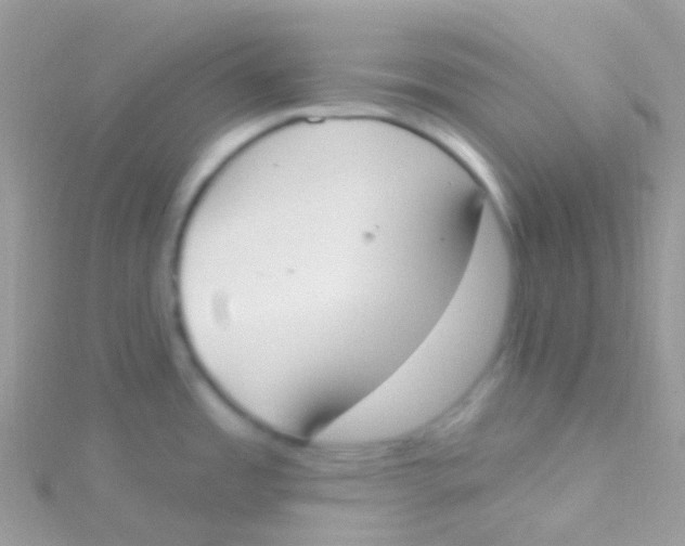 X0000115421485200911241338