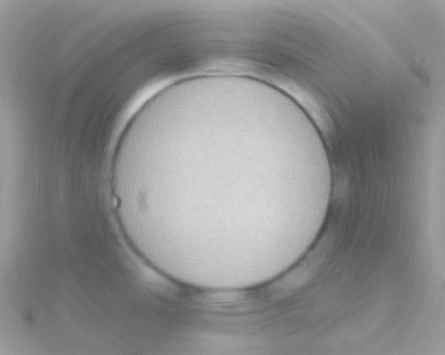 X0000115421486200911241338