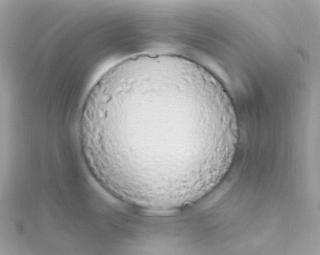 X0000115421487200911241338