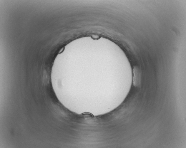 X0000115421491200911241337