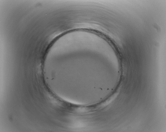 X0000115421497200911241337