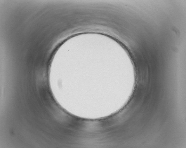 X0000115421498200911241337