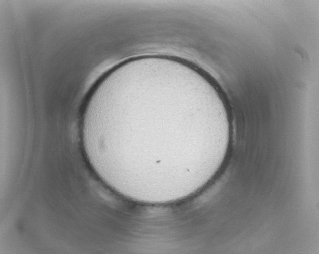 X0000115421501200911241337